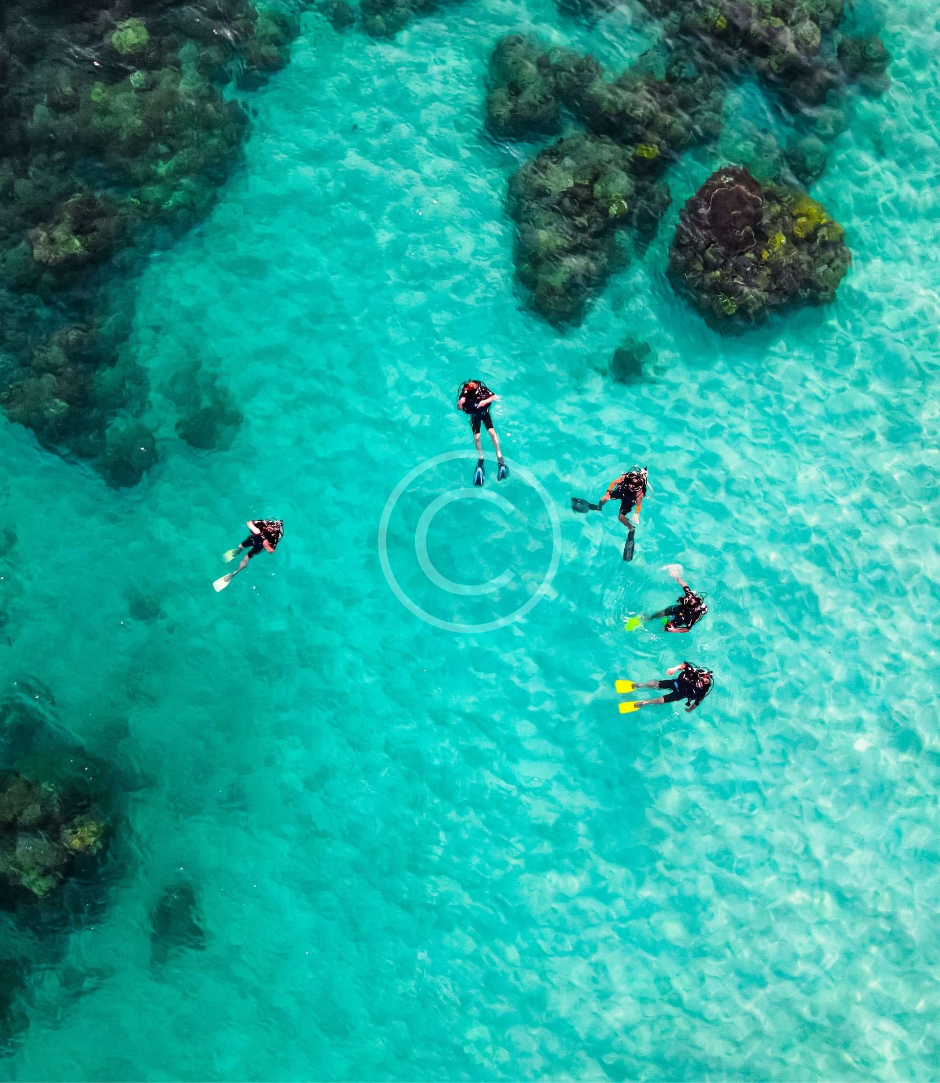 trail-img-18-2-copyright